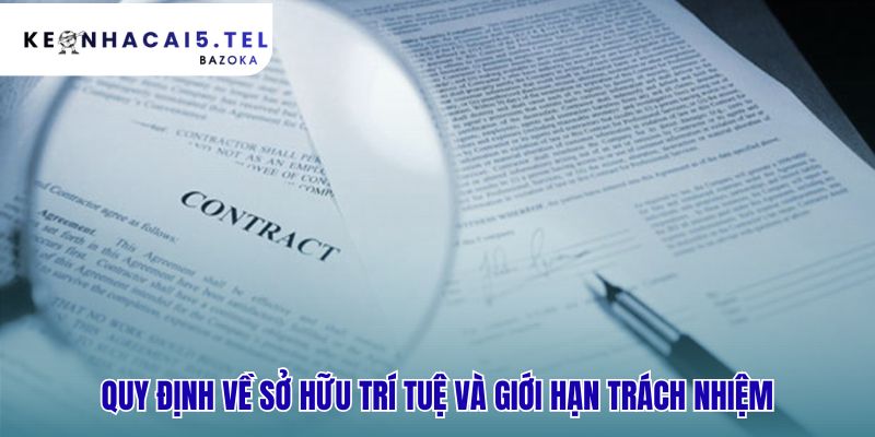 Điều khoản điều kiện xác định quyền sở hữu và giới hạn pháp lý